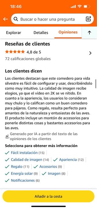 Comedero pájaros exterior con cámara