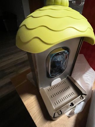 Comedero pájaros exterior con cámara