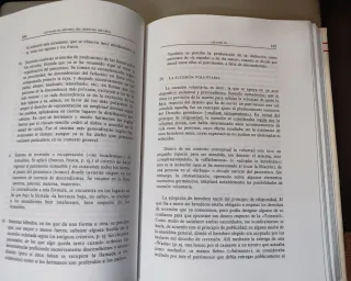 Lección de historia del derecho Español