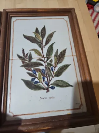 Cuadros de cerámica con marco de madera