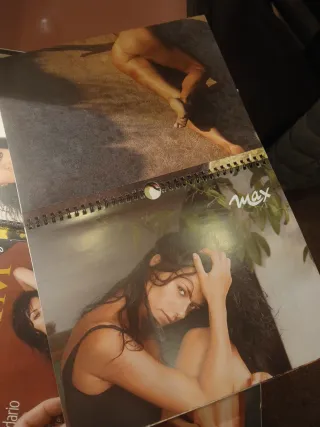 5 calendari splendidi da collezione