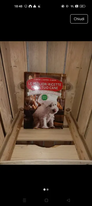 Le migliori ricette per il tuo cane