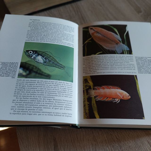 Enciclopedia de historia natural