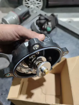 Termostato 079 121 115 BG