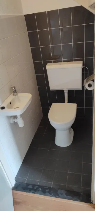 Rayolista y pintor. Reformas y montajes d banos