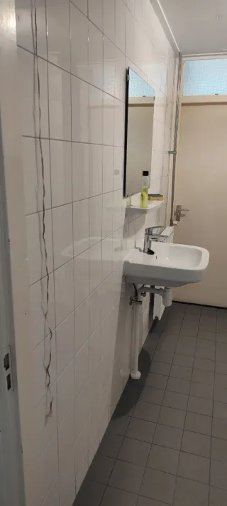 Rayolista y pintor. Reformas y montajes d banos