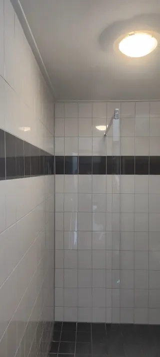 Rayolista y pintor. Reformas y montajes d banos