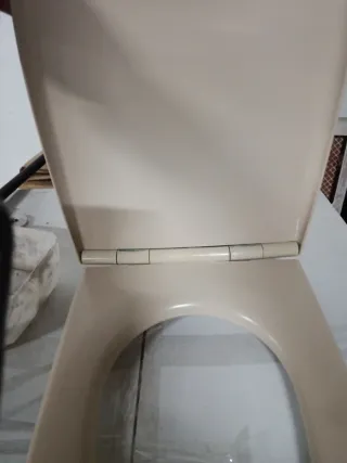 Asiento Inodoro Dama Retro Visón