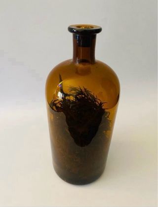 Botella Antigua de Farmacia ámbar