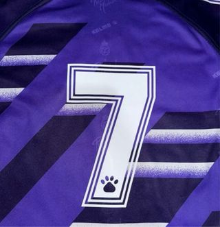 Camiseta Real Madrid 1994/95 N-7 Original