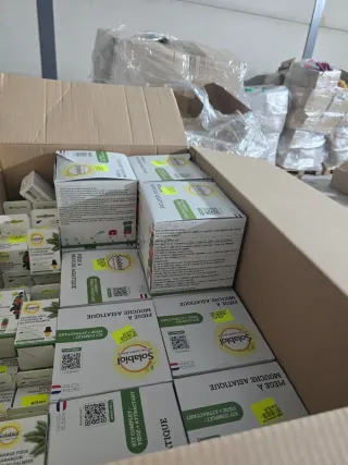 Lote Recarga Trampa Mosca Asiática Solabiol