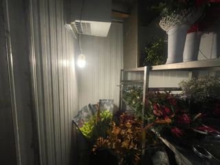 Cámara Frigorífica acero inoxidable motor zanotti