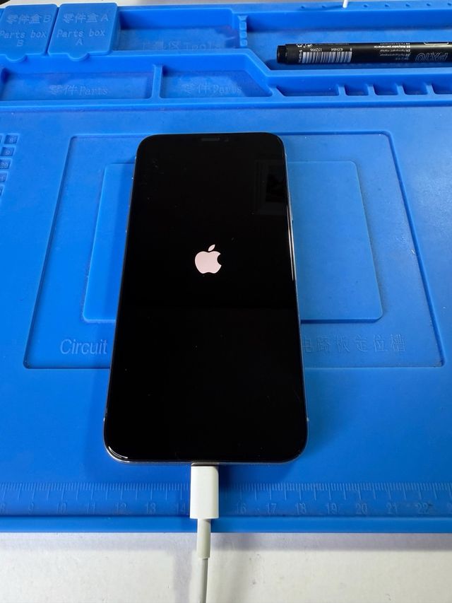 iPhone X 256GB Blanco Roto