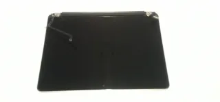 Pantalla MacBook Pro 1502