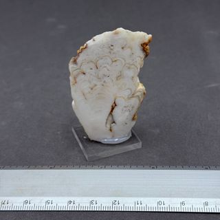 Aragonito Mutxamel Alicante MINERALI COLLEZIONE