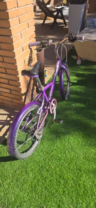 Bicicleta Morada Infantil