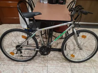 Bicicleta Boomerang
