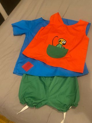 Disfraz de Pipicalzaslargas