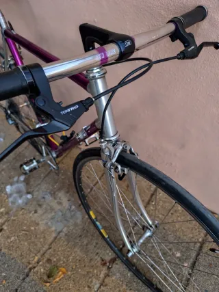 Bici de paseo con Vitus 979 manillar plano