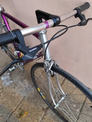 Bici de paseo con Vitus 979 manillar plano