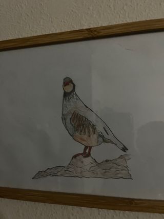 Dibujo de perdiz con marco de madera.NEGOCIABLE