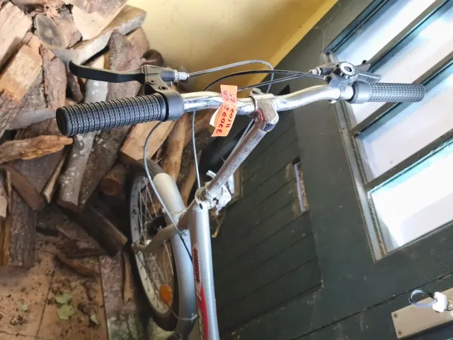 Bicicleta pieghevole argento