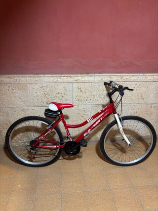 Bicicleta Arroyo Roja