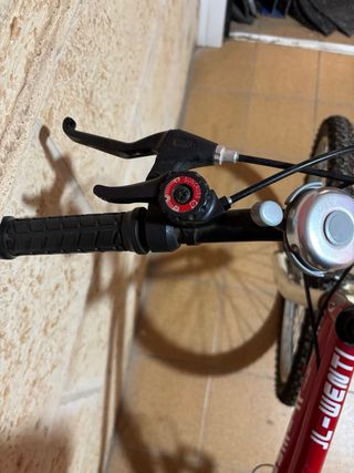 Bicicleta Arroyo Roja