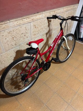 Bicicleta Arroyo Roja