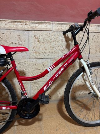 Bicicleta Arroyo Roja