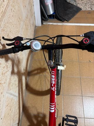 Bicicleta Arroyo Roja