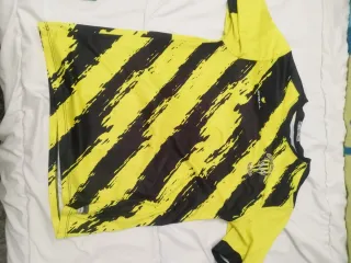 Lote Ropa: Sudadera, Camisa Manga Corta y Larga