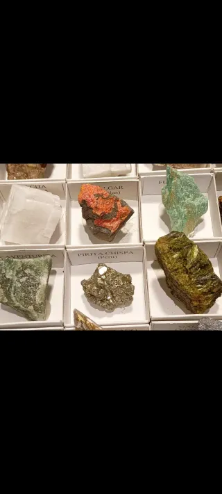 Collezione di 30 Minerali e Rocce