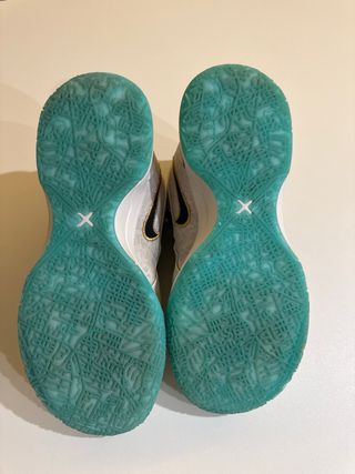 Zapatillas baloncesto, Nike LeBron NXXT Gen x