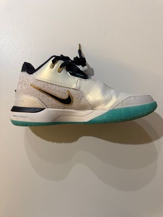Zapatillas baloncesto, Nike LeBron NXXT Gen x