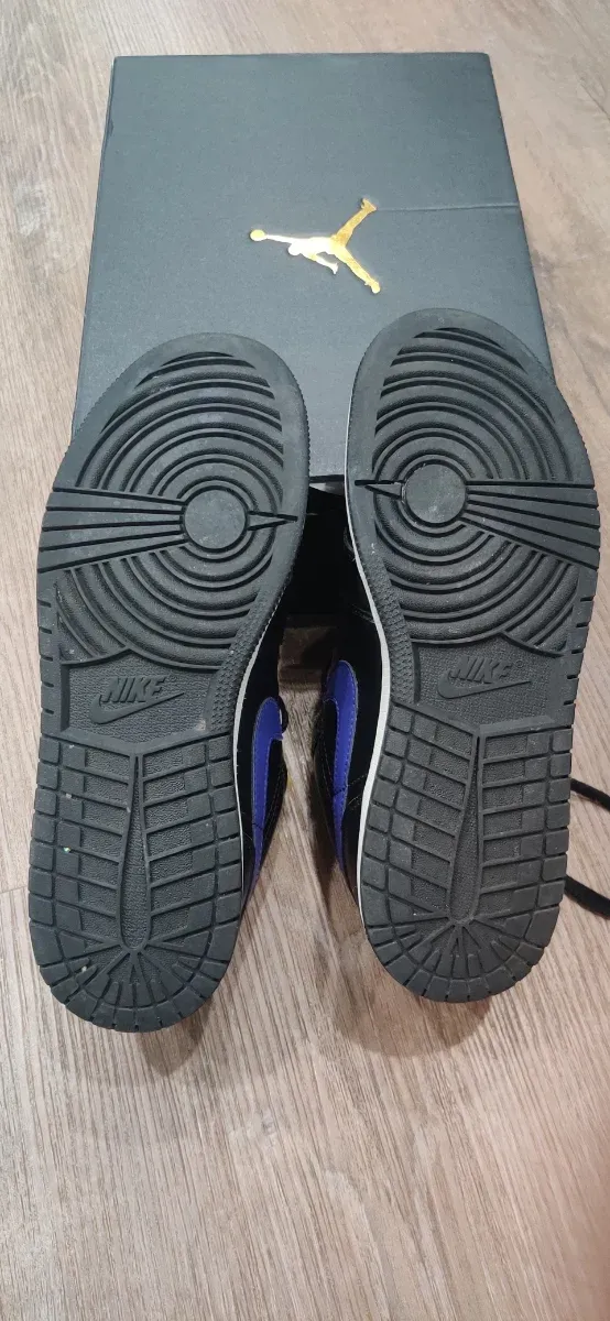 Air Jordan 1 Low Dark Concord