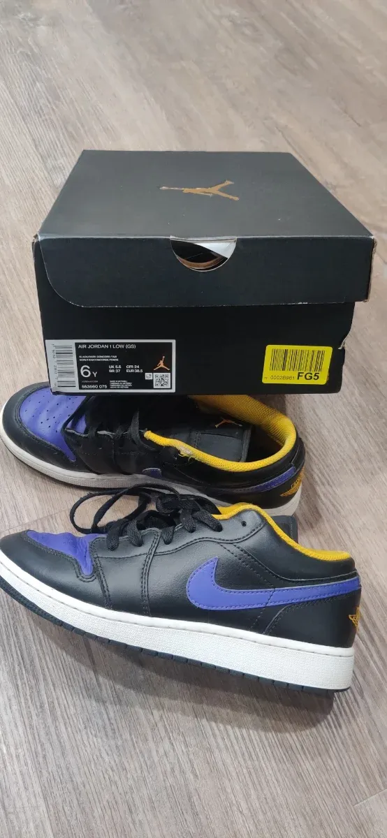 Air Jordan 1 Low Dark Concord