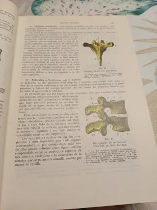 Tratado de anatomia humana; t.1