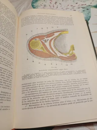 Tratado de anatomia humana; t.1