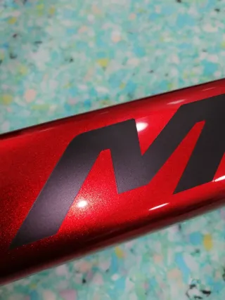 URGE VENTA!! Cuadro MERIDA SCULTURA ENDURANCE