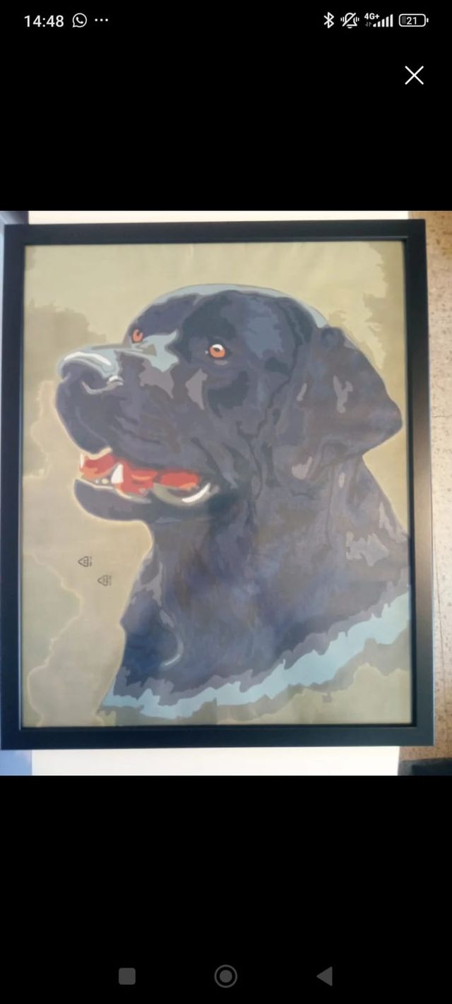 Cuadro Acrílico LMG 40x50cm Enmarcado