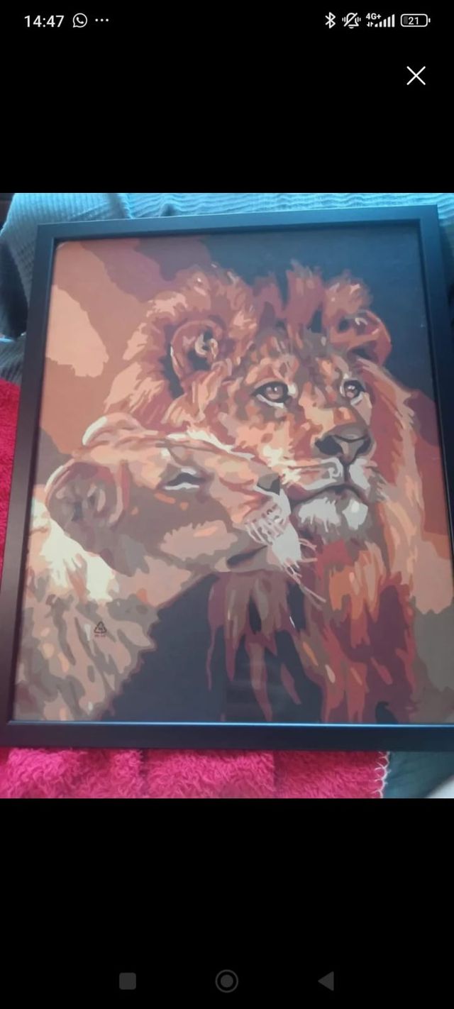 Cuadro Acrílico LMG 40x50cm Enmarcado