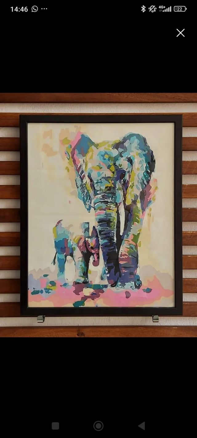 Cuadro Acrílico LMG 40x50cm Enmarcado