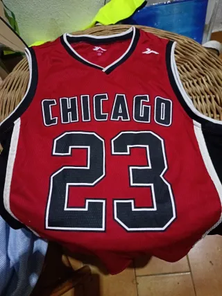 Camiseta Chicago Bulls Michael Jordan #23 Jr.