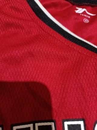 Camiseta Chicago Bulls Michael Jordan #23 Jr.