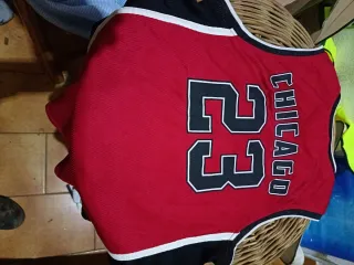 Camiseta Chicago Bulls Michael Jordan #23 Jr.