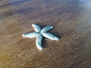 Stella marina vintage argento 800