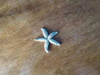 Stella marina vintage argento 800