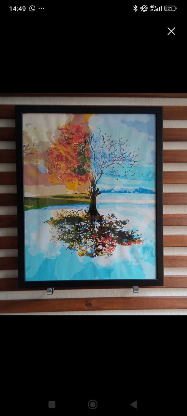 Cuadro Acrílico LMG 40x50cm Enmarcado