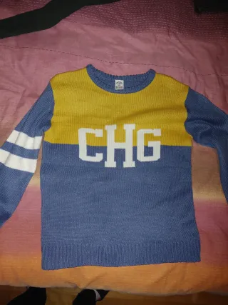 Lote 2 jerséis + camiseta